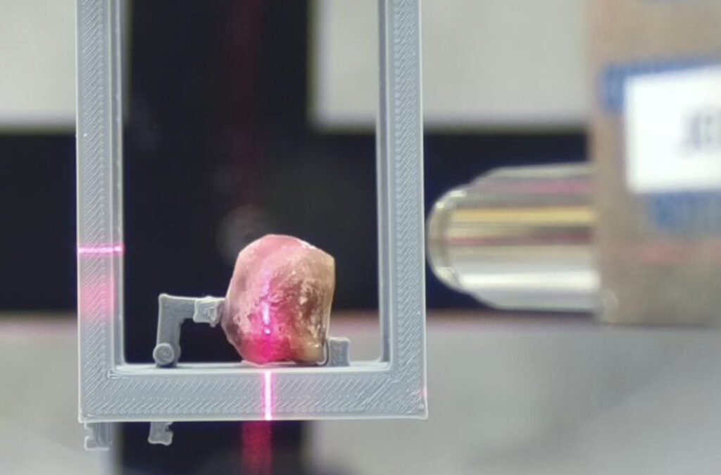 Das Bild zeigt den Scan einer mit Paraffin umhüllten Tumorprobe aus Japan.